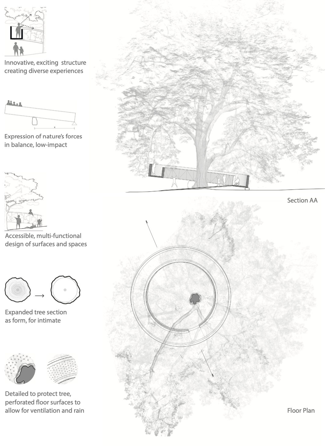 Drawing showing plans and section of proposal. The project includes a tree in the centre of a wooden angled ring that can be occupied.
